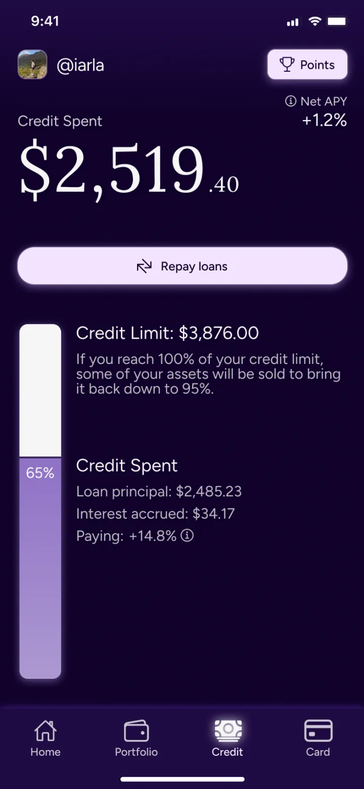 Credit — borrow against assets